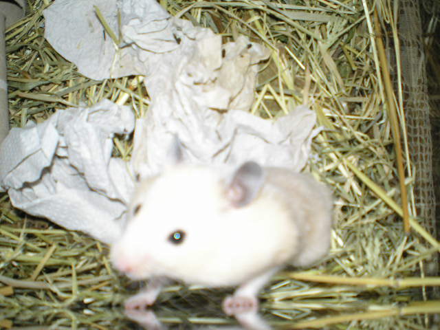 PA240055.JPG