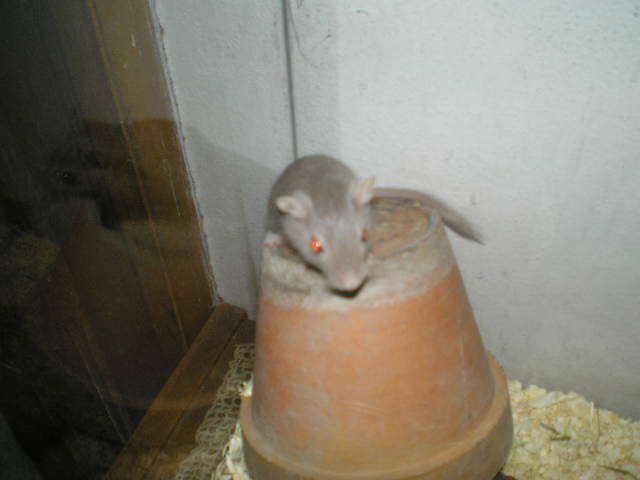 PC160011.JPG