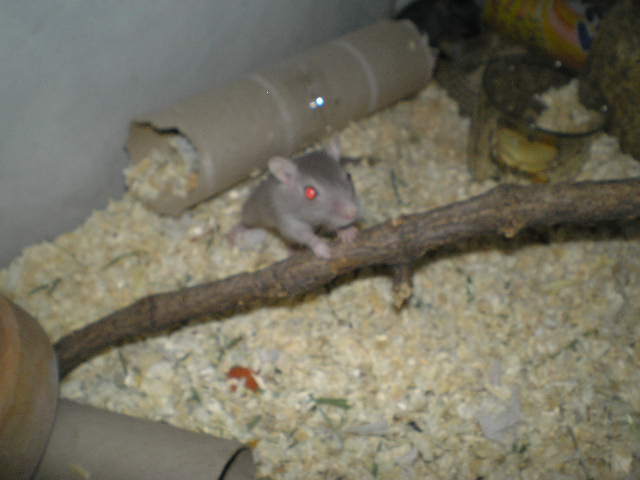 PC160006.JPG